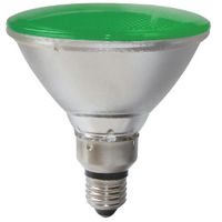 PAR38 240V 80WATT GREEN